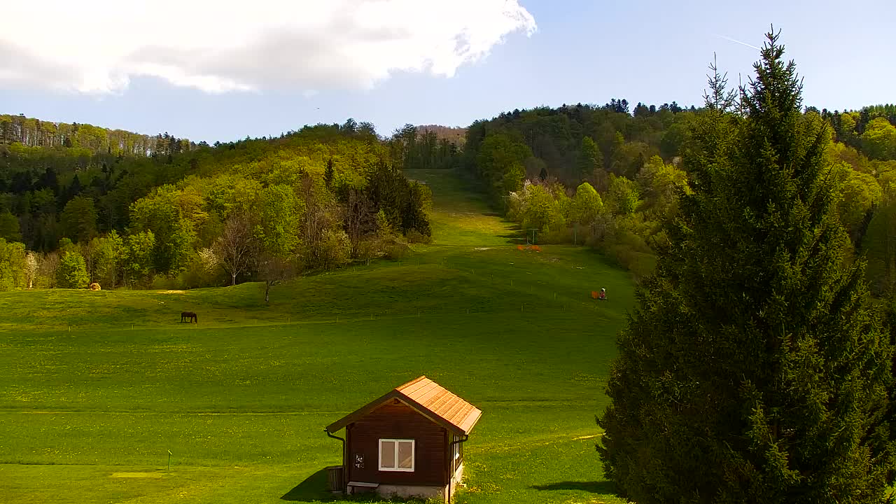 Webcam Lokve – The beauty of the Trnovo forest