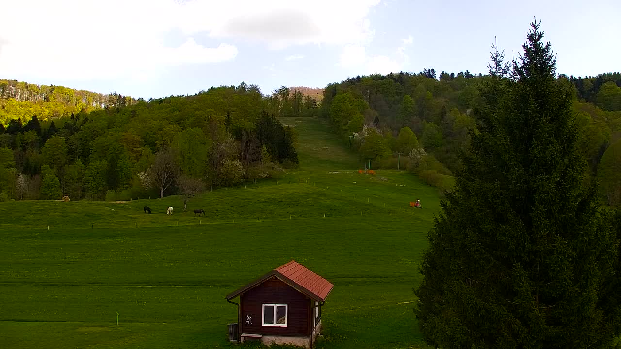 Webcam Loqua / Lokve – La bellezza della selva di Tarnova