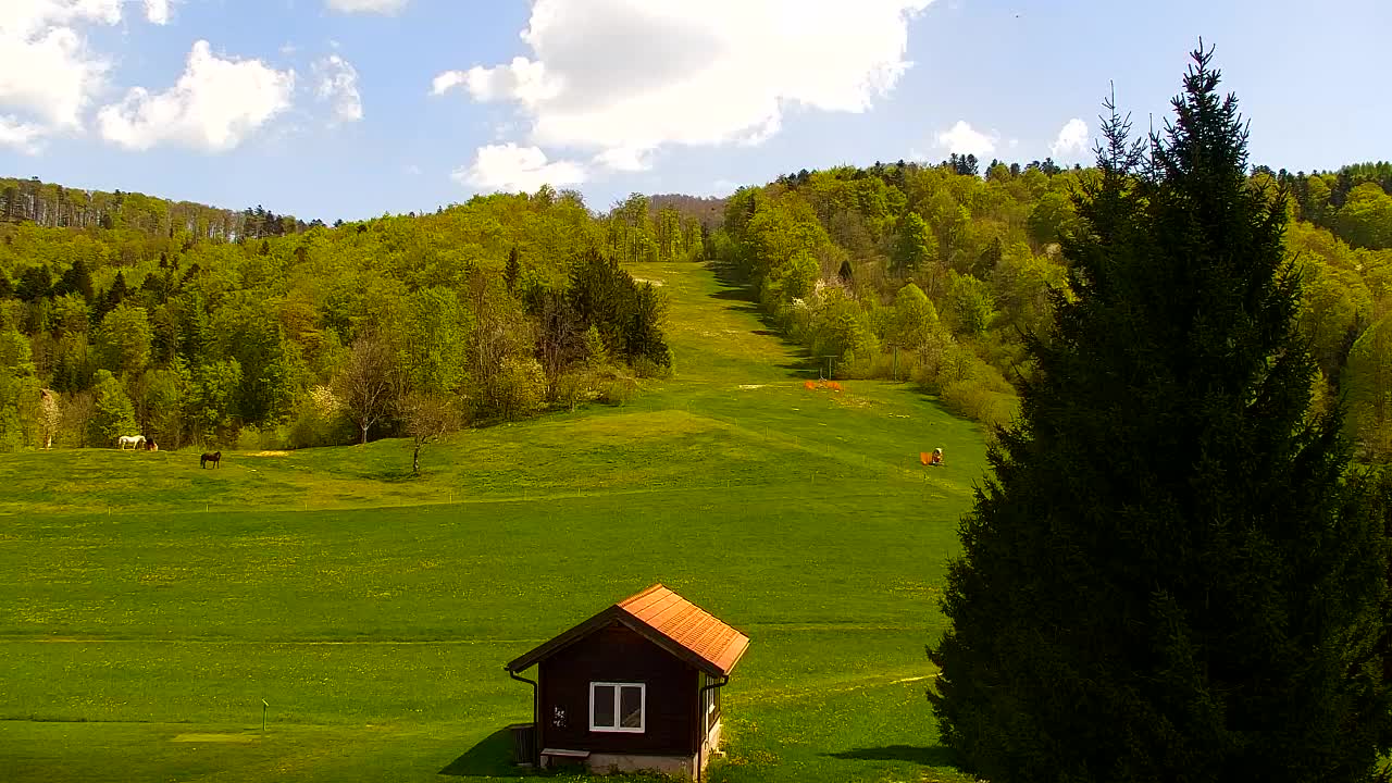 Camera en vivo Lokve – La belleza del bosque de Trnovo
