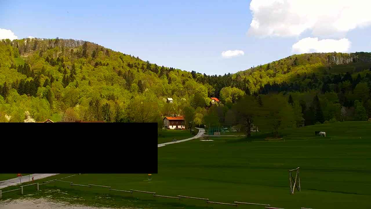 Webcam Lokve – The beauty of the Trnovo forest