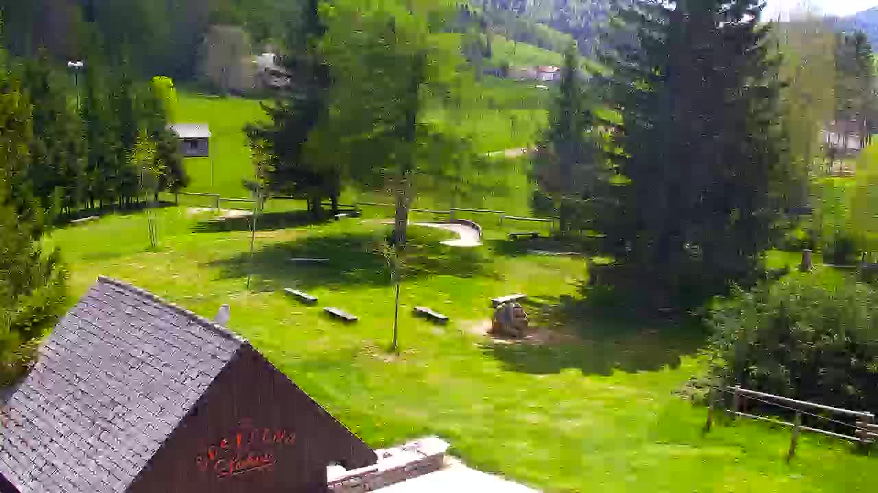 Camera en vivo Lokve – La belleza del bosque de Trnovo