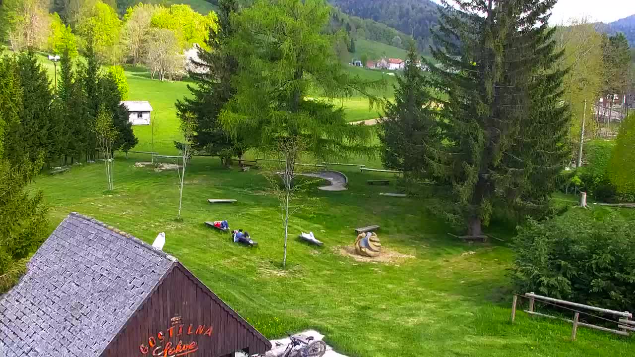 Webcam Lokve – La beauté de la forêt de Trnovo