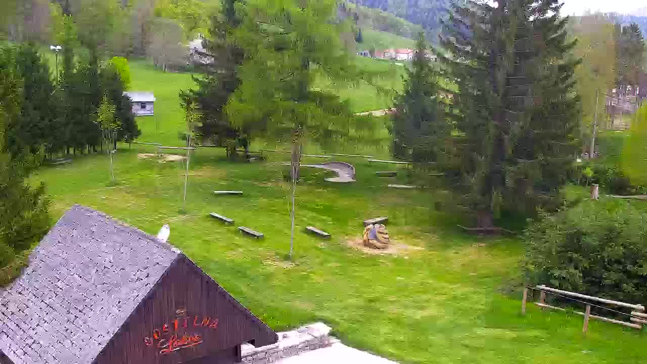 Webcam Lokve – La beauté de la forêt de Trnovo
