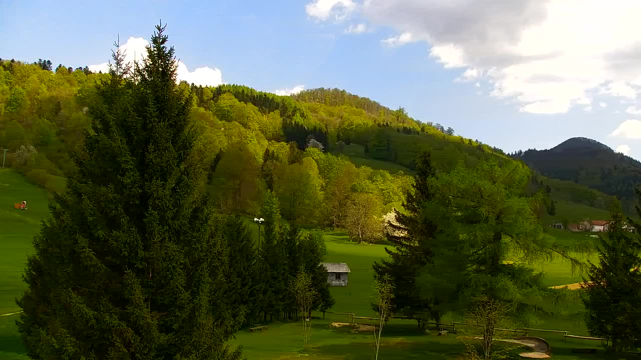 Webcam Lokve – La beauté de la forêt de Trnovo