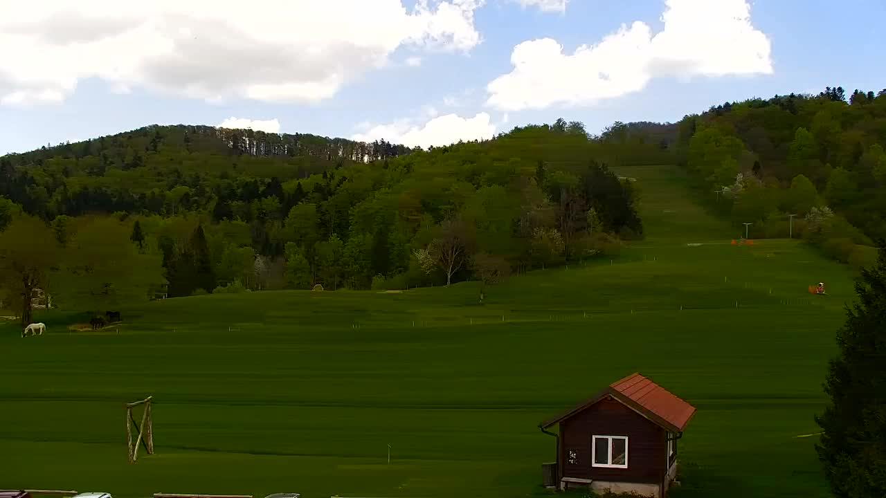 Webcam Lokve – The beauty of the Trnovo forest