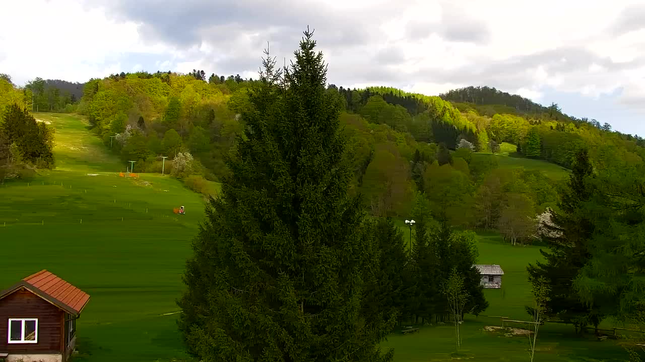 Lokve kamera – Naravne lepote Trnovskega gozda