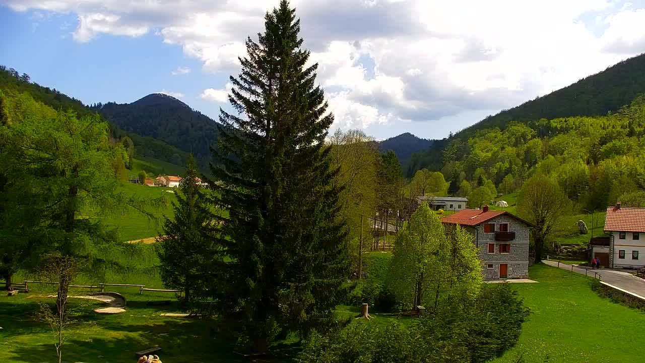 Webcam Lokve – The beauty of the Trnovo forest