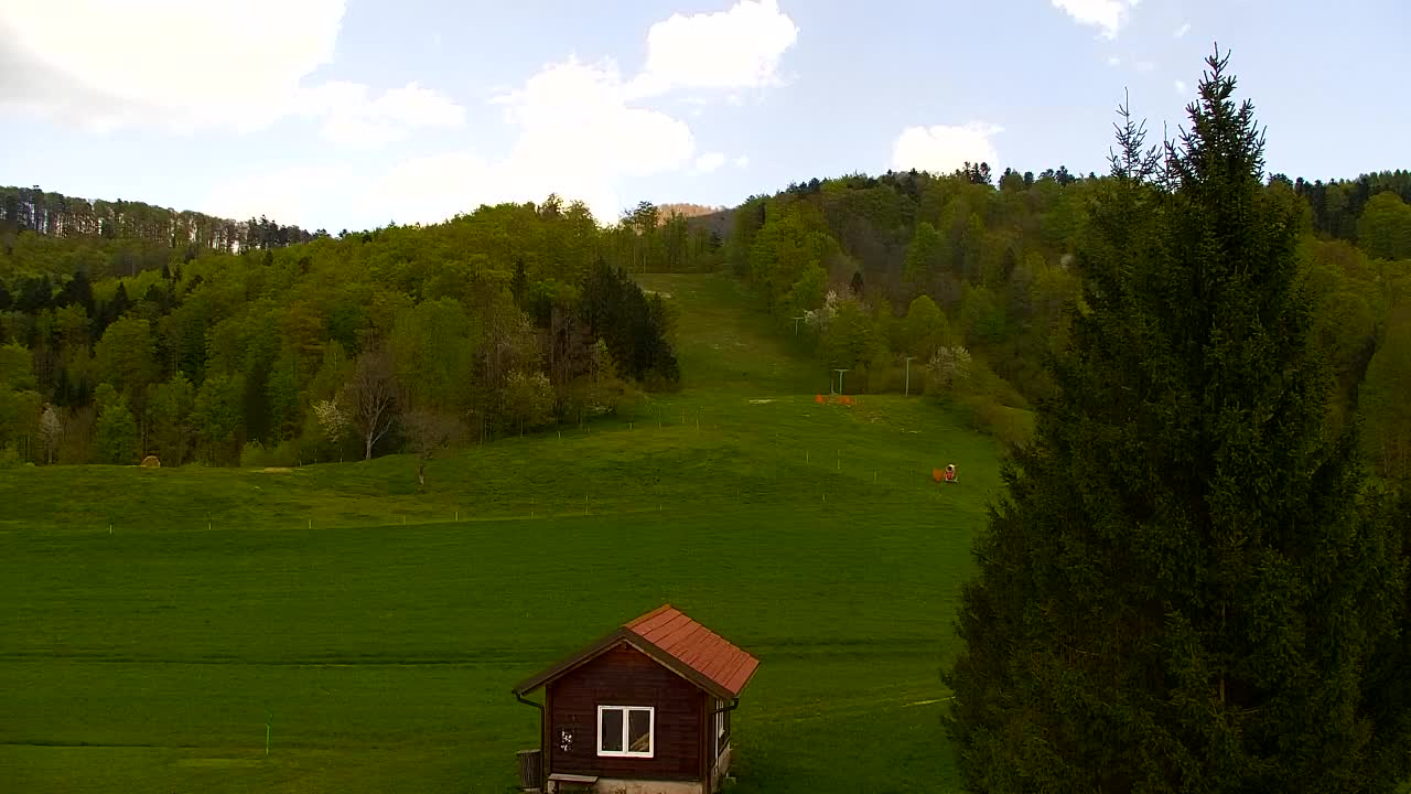 Webcam Lokve – The beauty of the Trnovo forest