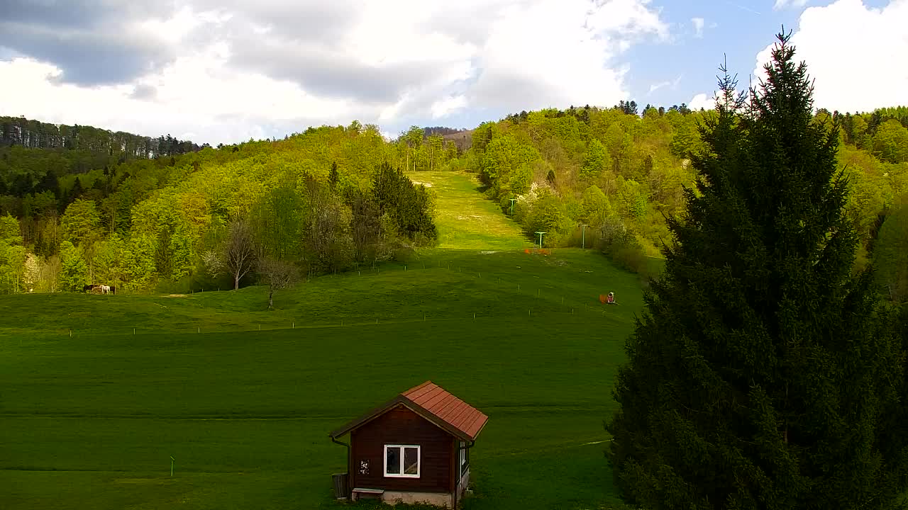 Webcam Loqua / Lokve – La bellezza della selva di Tarnova