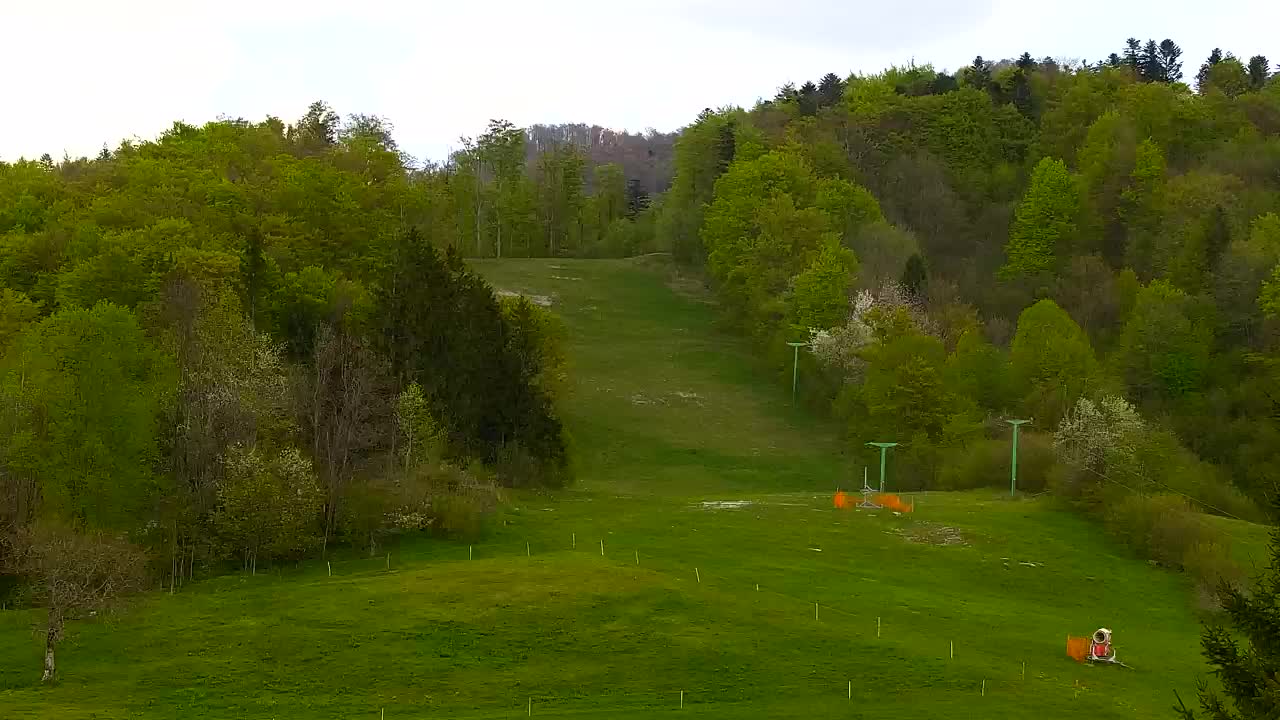 Webcam Lokve – La beauté de la forêt de Trnovo