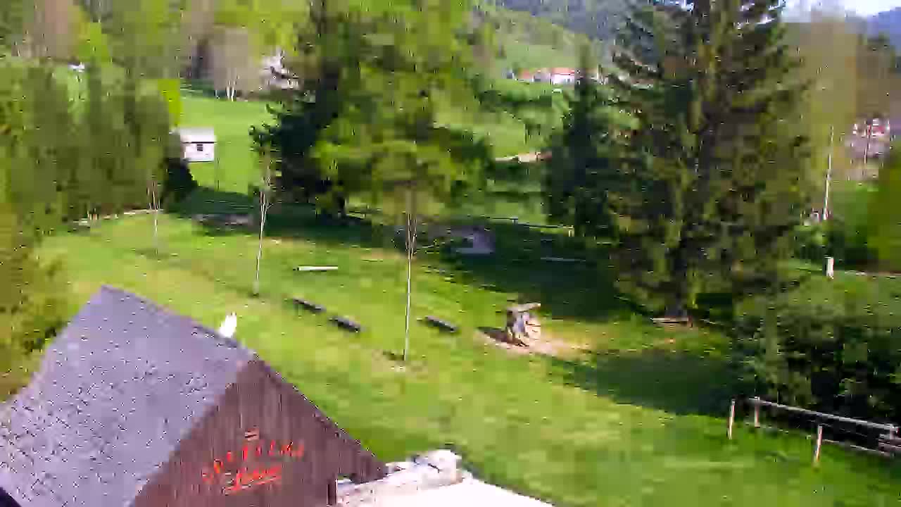 Webcam Lokve – La beauté de la forêt de Trnovo
