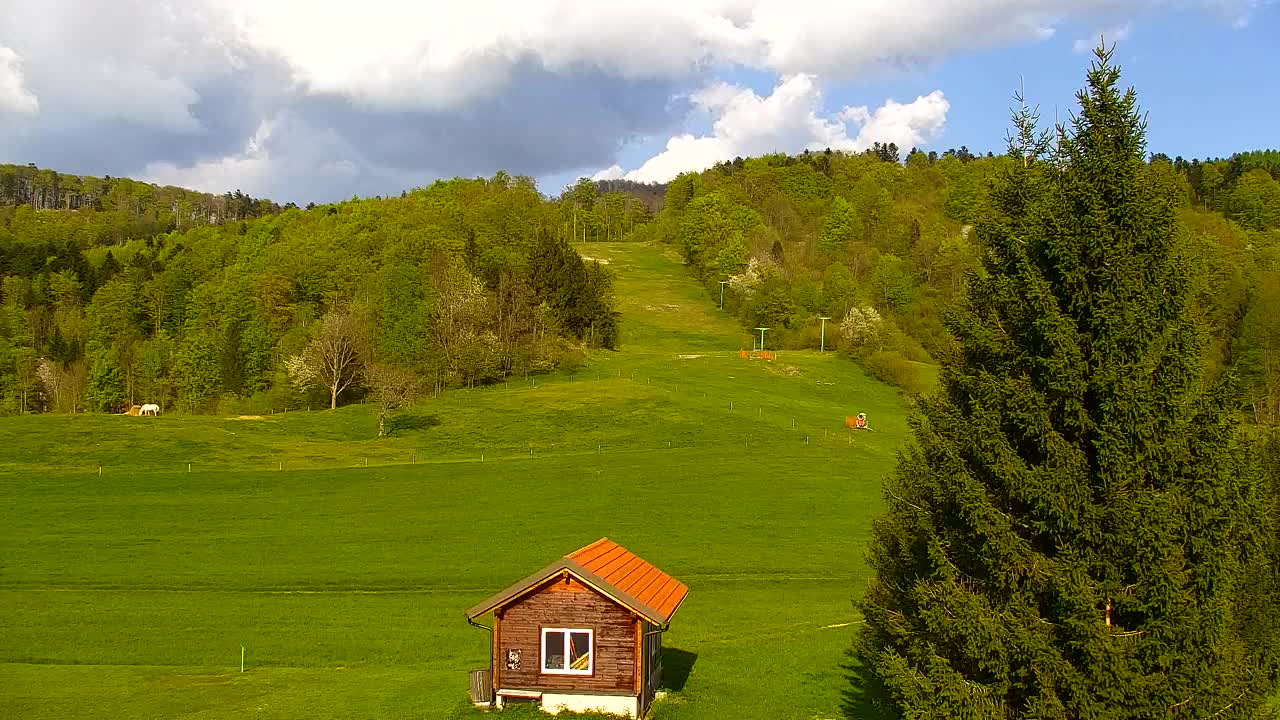 Webcam Lokve – La beauté de la forêt de Trnovo