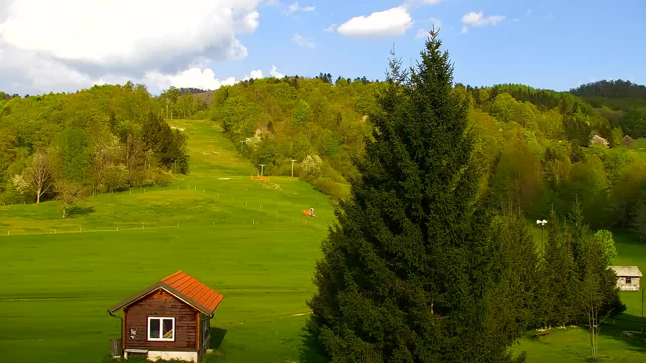 Webcam Lokve – La beauté de la forêt de Trnovo