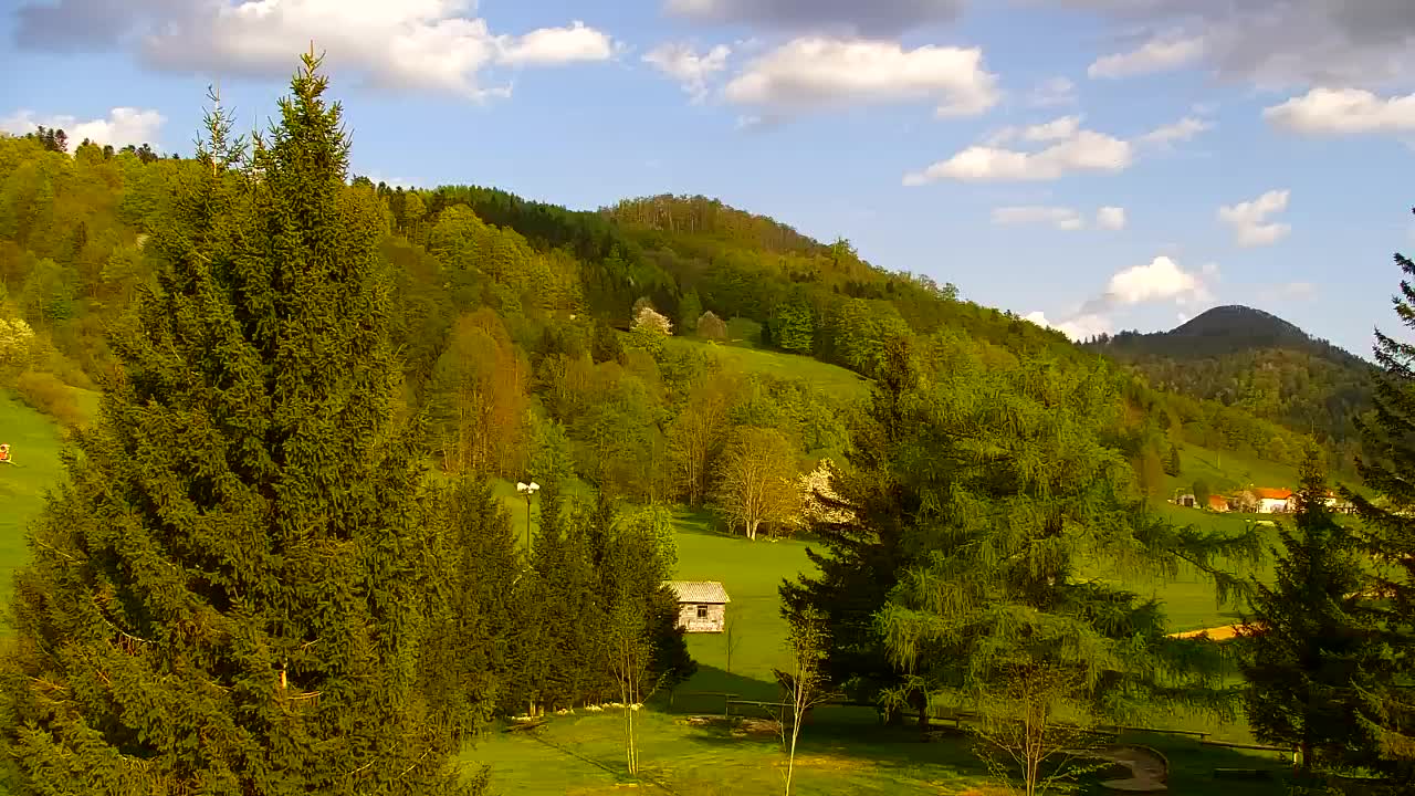 Webcam Loqua / Lokve – La bellezza della selva di Tarnova