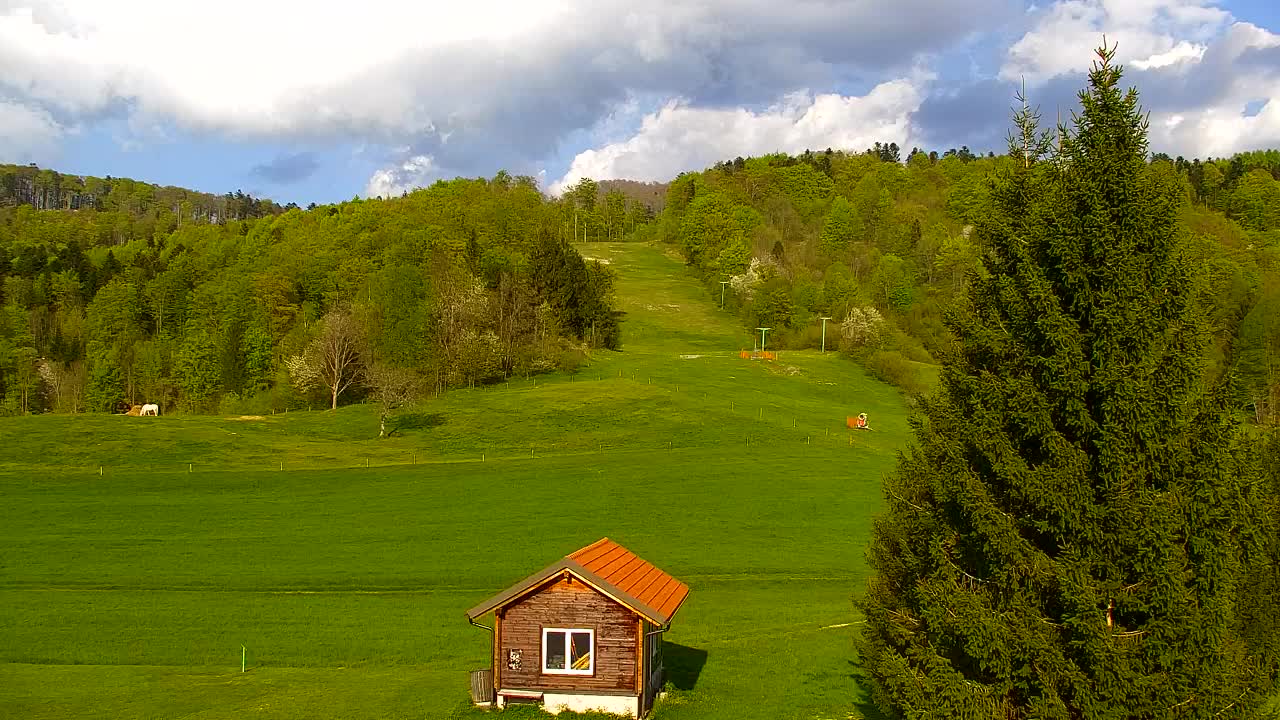 Lokve kamera – Naravne lepote Trnovskega gozda