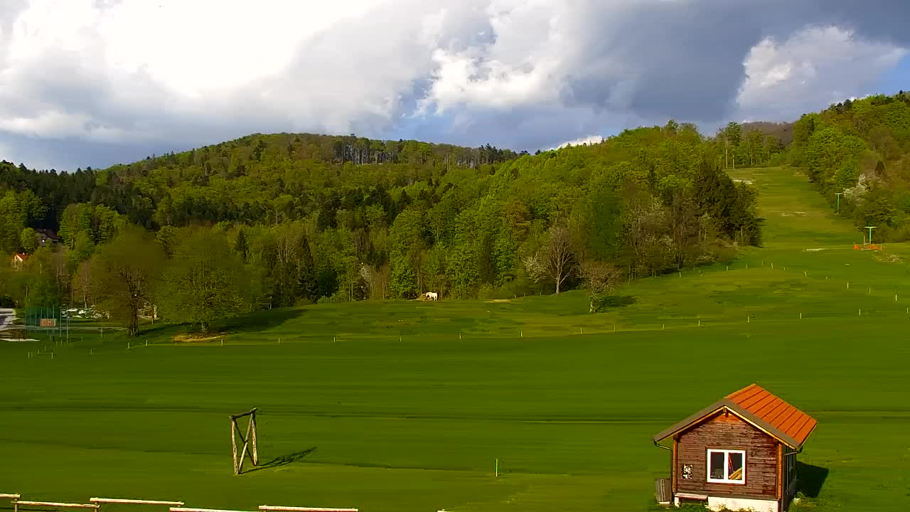 Webcam Loqua / Lokve – La bellezza della selva di Tarnova