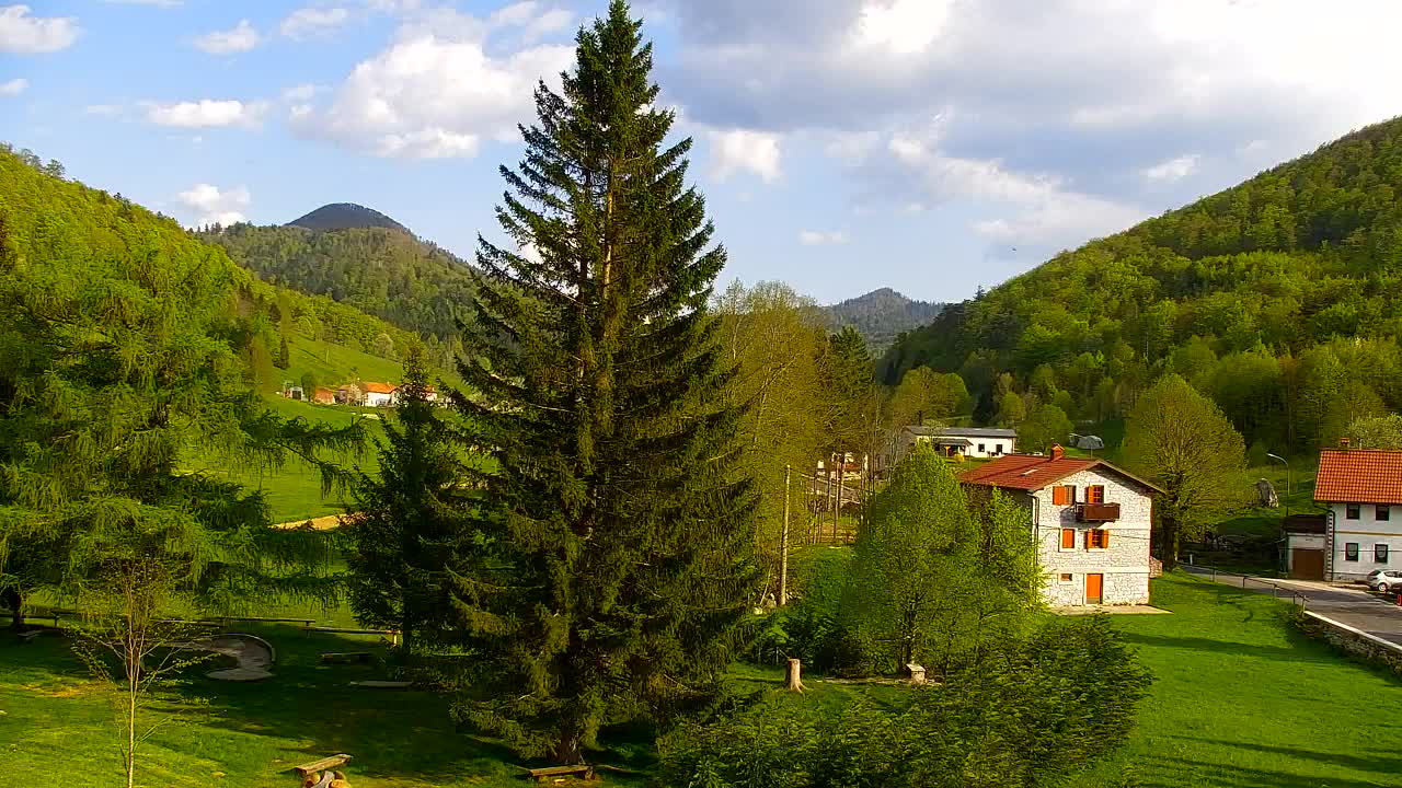 Webcam Loqua / Lokve – La bellezza della selva di Tarnova