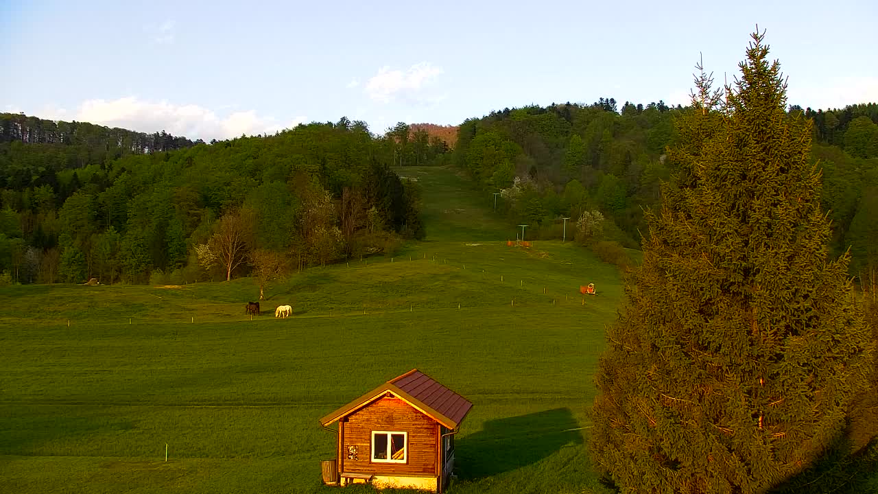 Webcam Lokve – Die Schönheit des Trnovo-Waldes