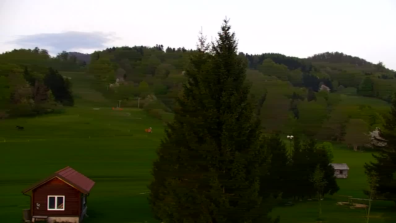 Webcam Lokve – Die Schönheit des Trnovo-Waldes