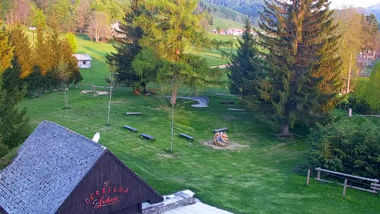 Webcam Lokve – La beauté de la forêt de Trnovo