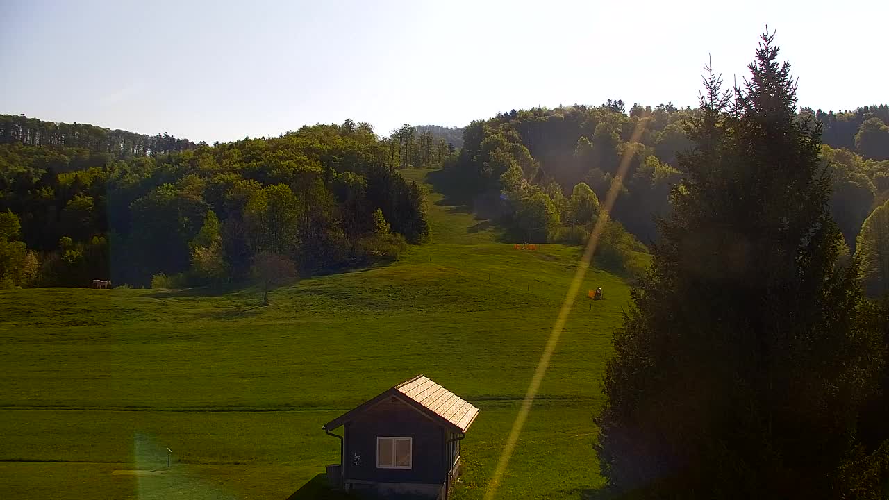 Webcam Lokve – La beauté de la forêt de Trnovo