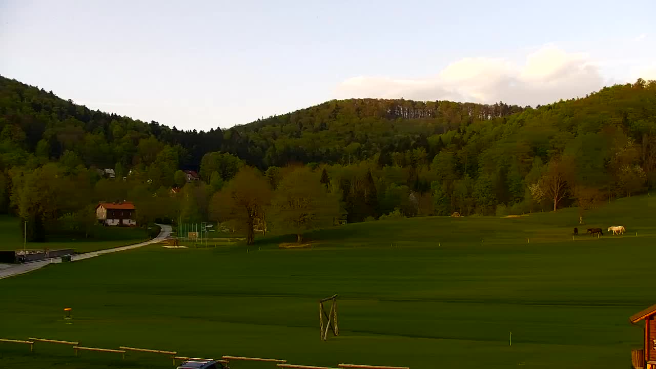 Webcam Loqua / Lokve – La bellezza della selva di Tarnova