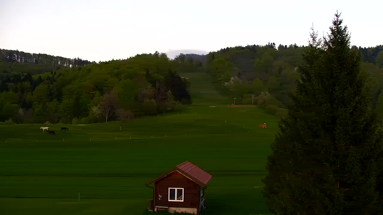 Webcam Loqua / Lokve – La bellezza della selva di Tarnova