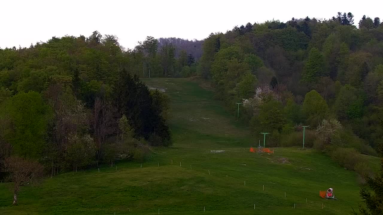 Camera en vivo Lokve – La belleza del bosque de Trnovo