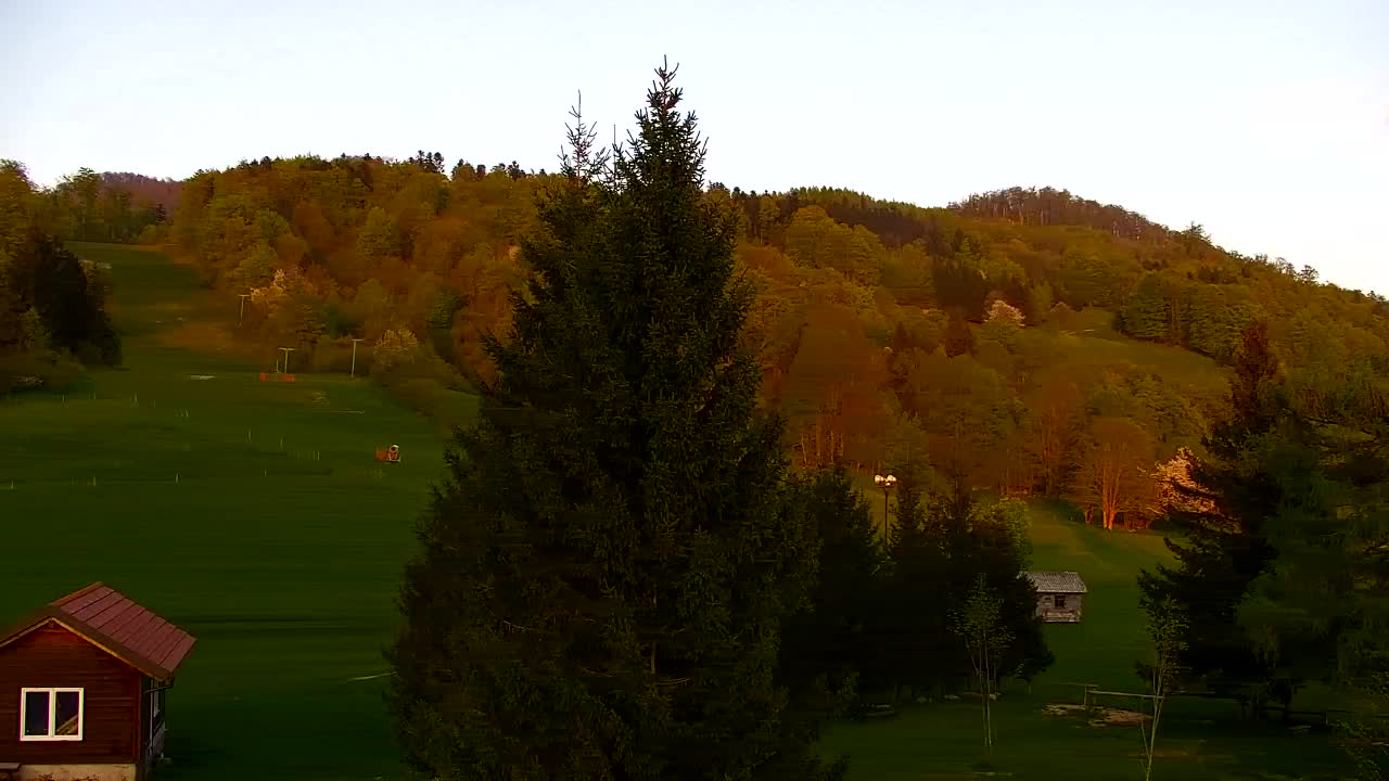 Webcam Loqua / Lokve – La bellezza della selva di Tarnova