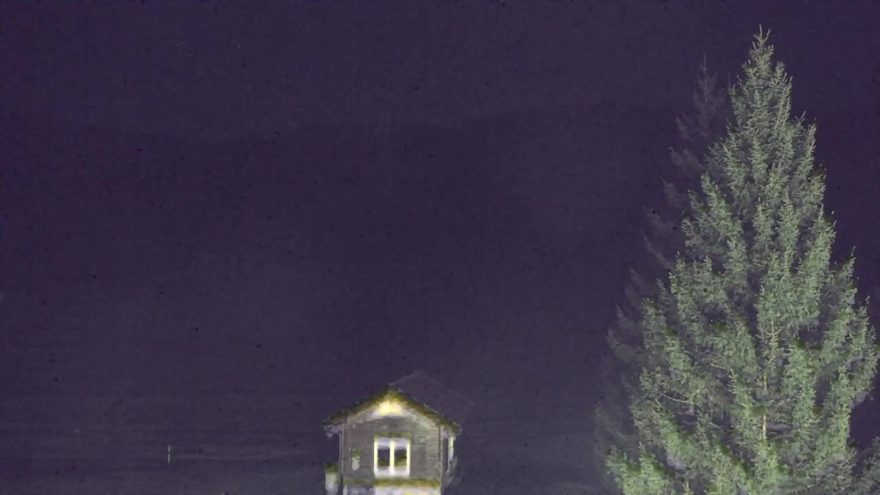 Webcam Loqua / Lokve – La bellezza della selva di Tarnova