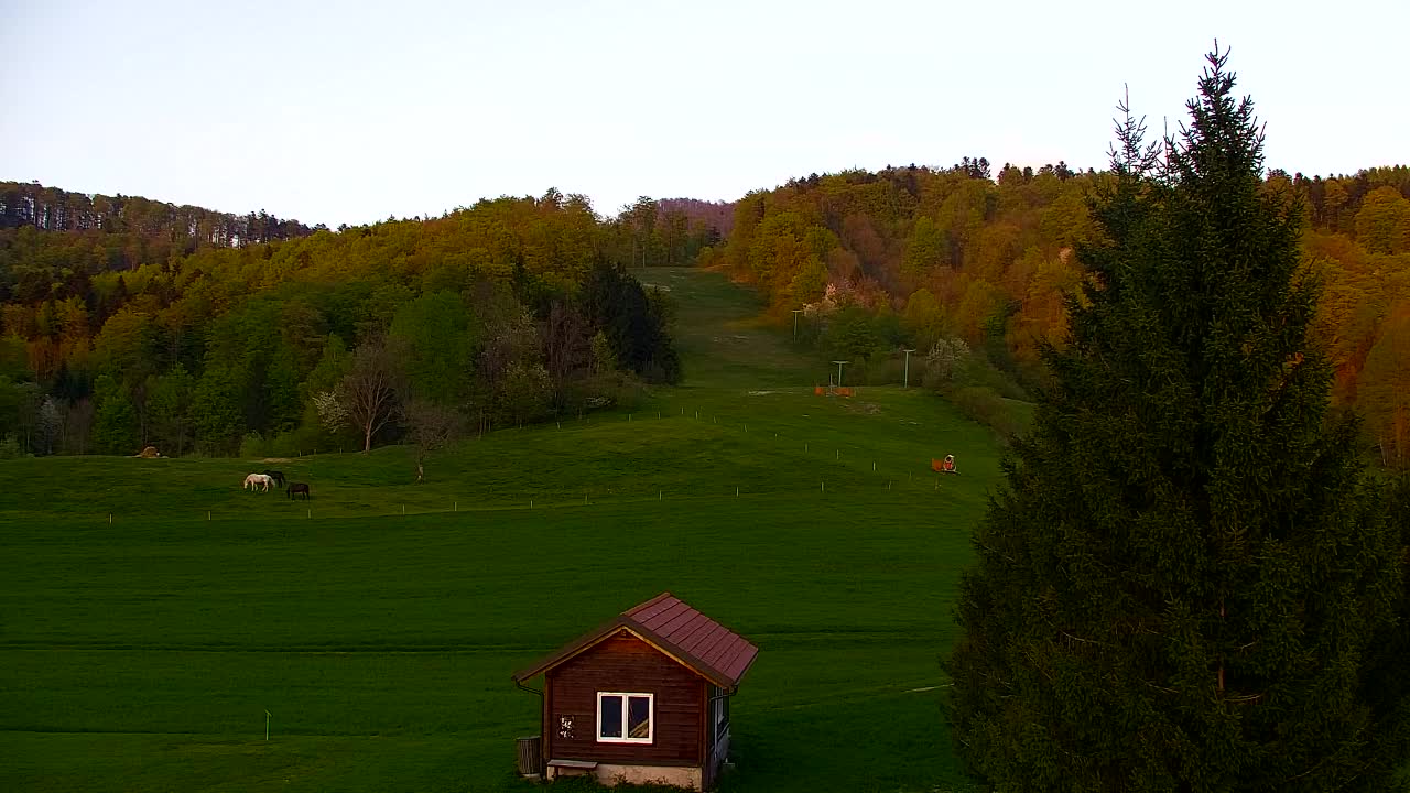 Webcam Loqua / Lokve – La bellezza della selva di Tarnova