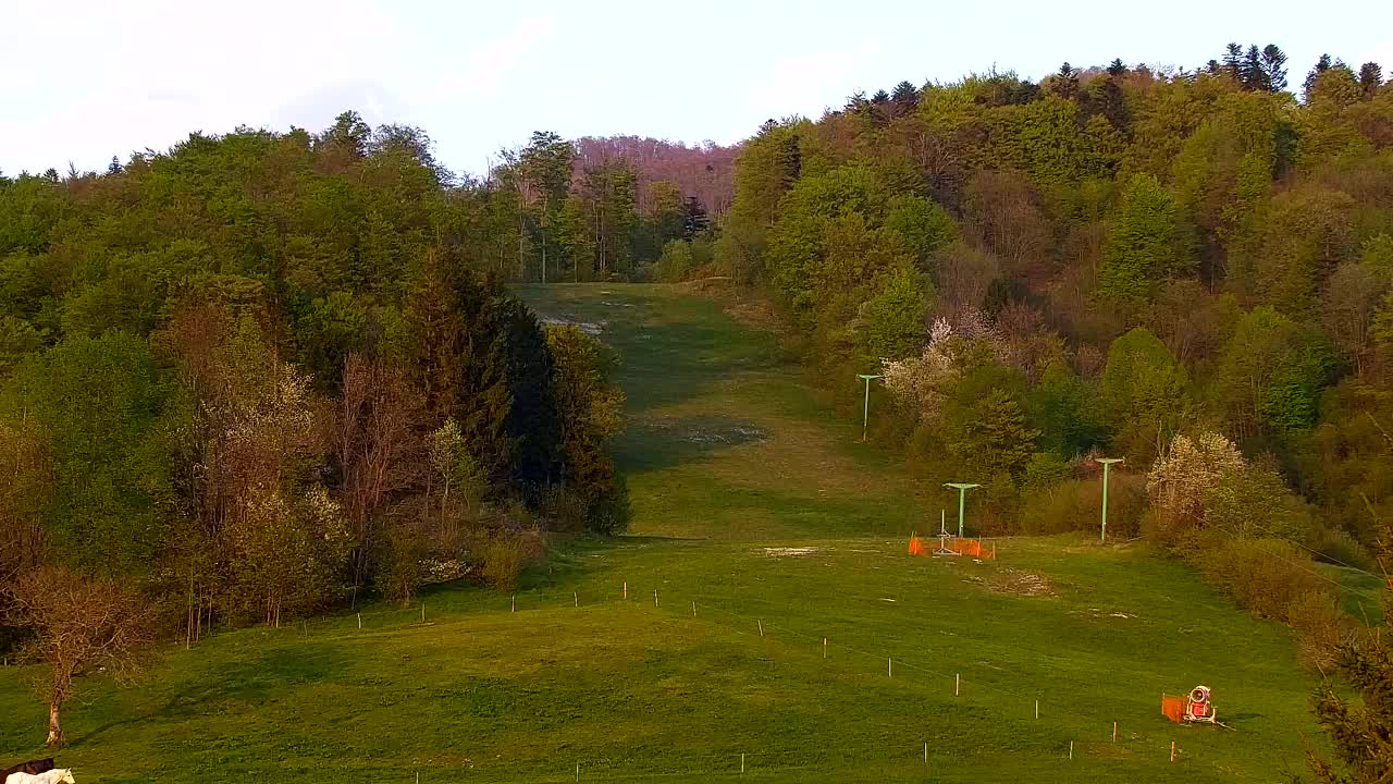 Webcam Lokve – The beauty of the Trnovo forest