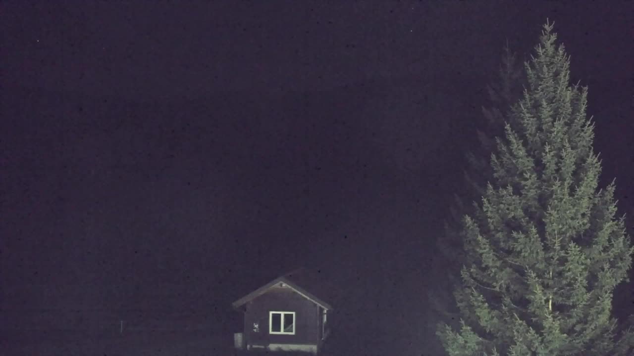 Webcam Loqua / Lokve – La bellezza della selva di Tarnova