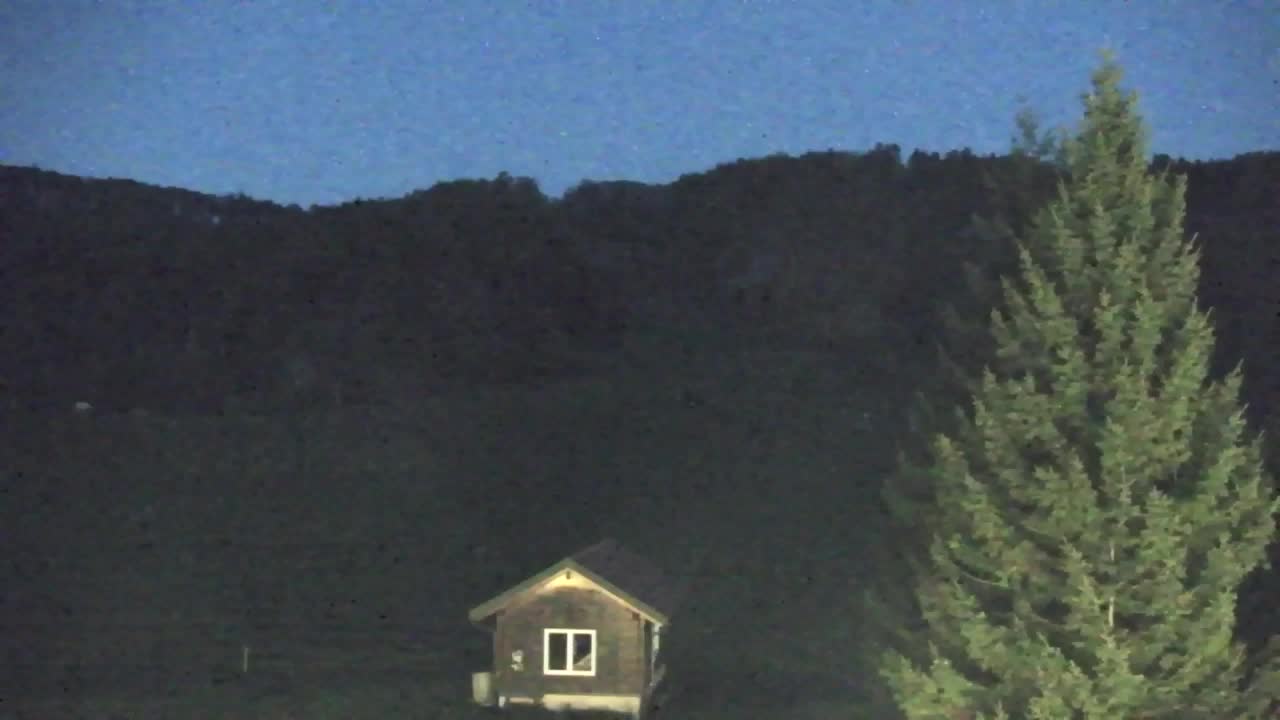 Webcam Loqua / Lokve – La bellezza della selva di Tarnova