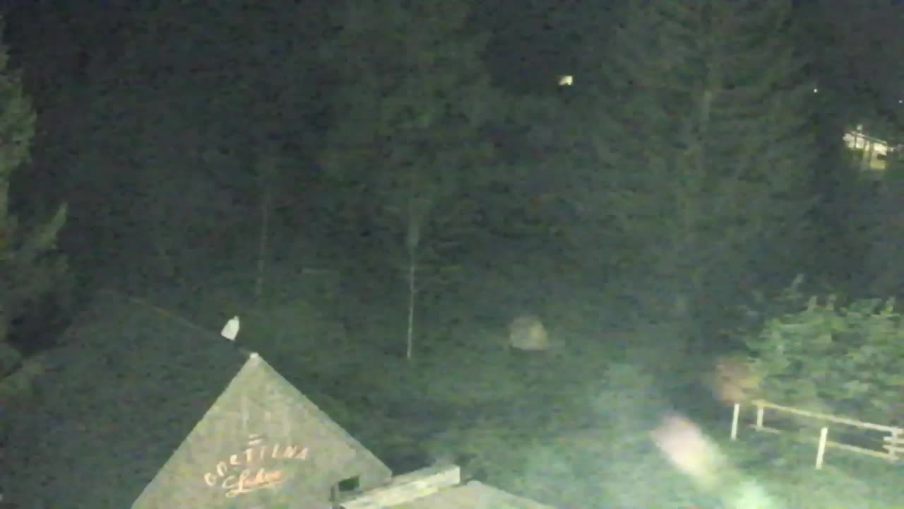 Webcam Loqua / Lokve – La bellezza della selva di Tarnova