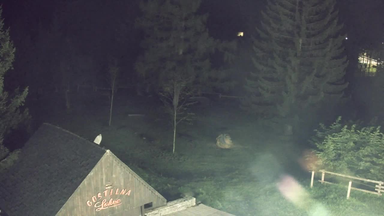 Webcam Lokve – La beauté de la forêt de Trnovo