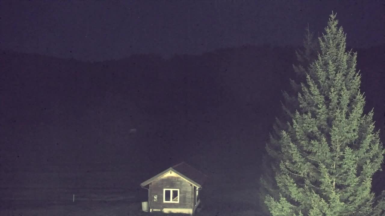 Webcam Lokve – La beauté de la forêt de Trnovo