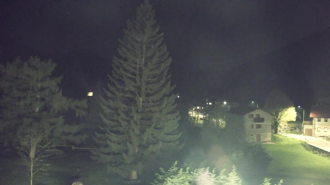 Webcam Loqua / Lokve – La bellezza della selva di Tarnova