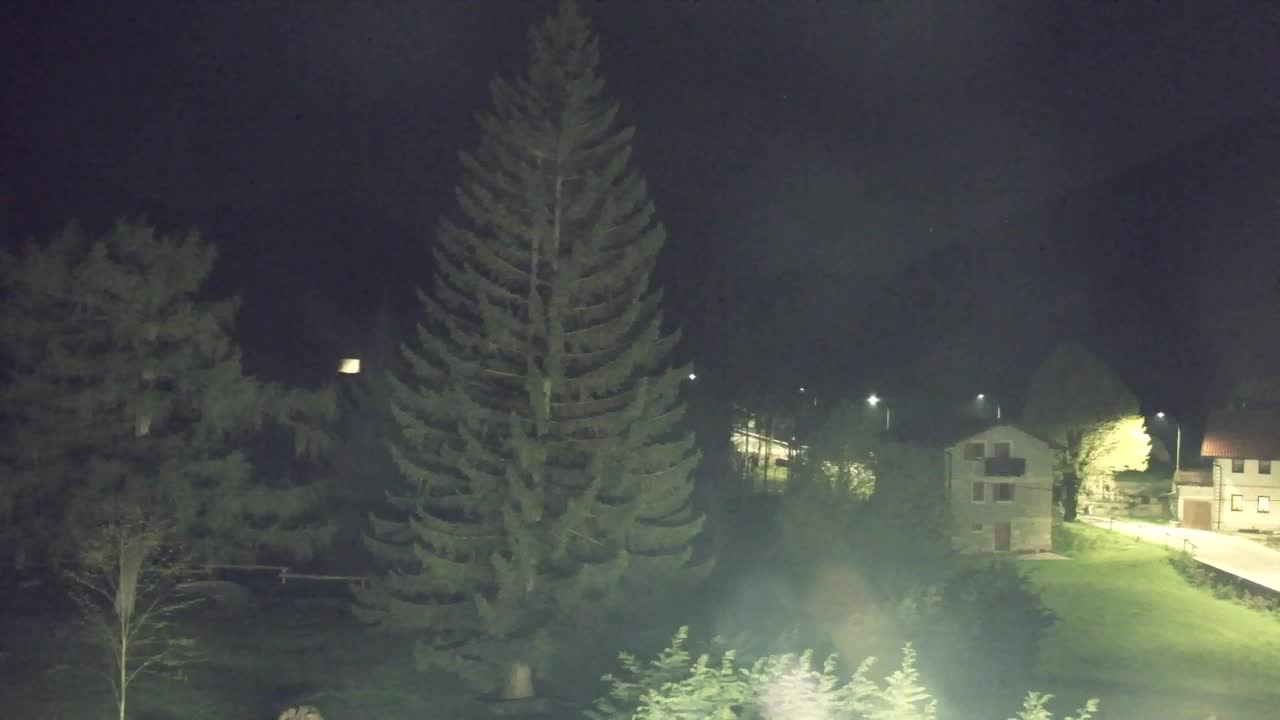 Webcam Lokve – The beauty of the Trnovo forest