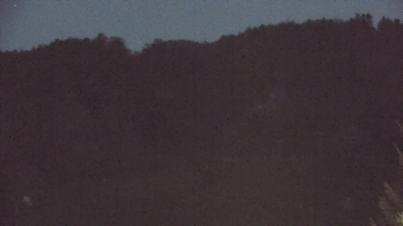 Webcam Lokve – The beauty of the Trnovo forest