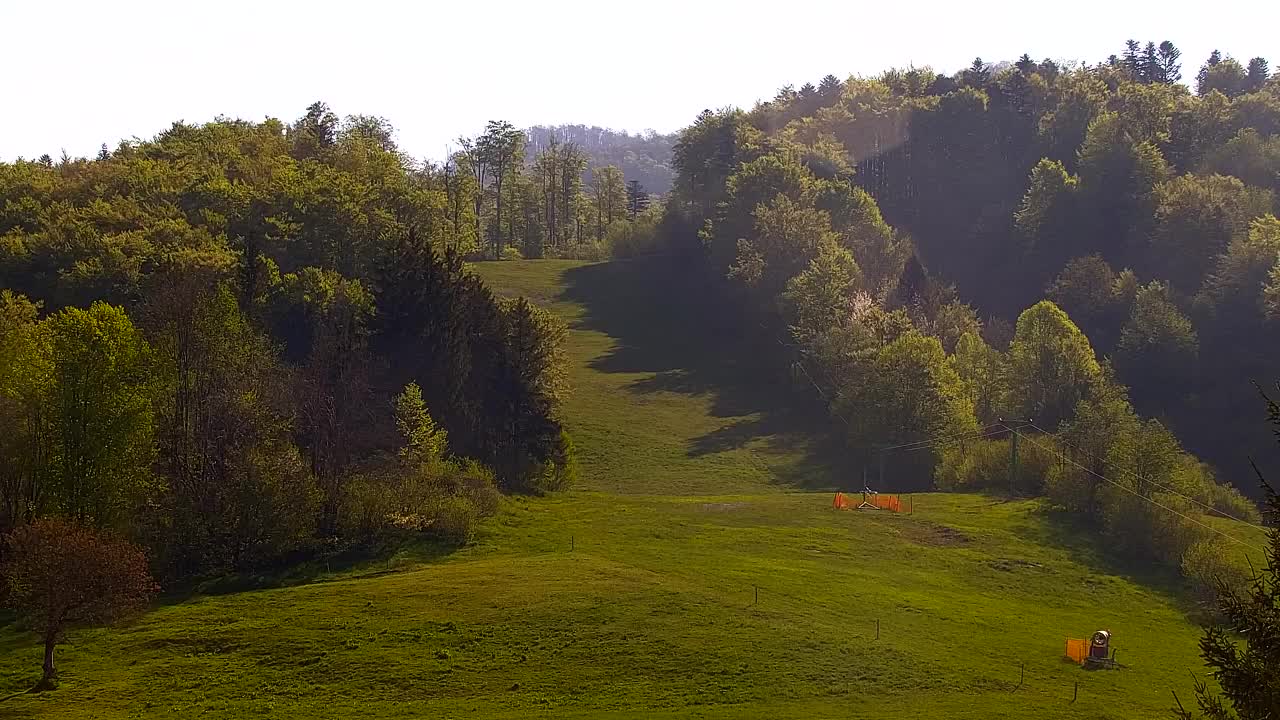 Webcam Loqua / Lokve – La bellezza della selva di Tarnova
