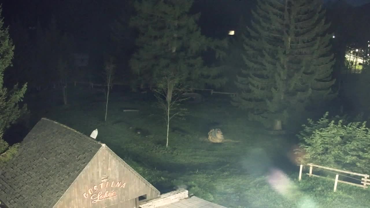 Webcam Loqua / Lokve – La bellezza della selva di Tarnova