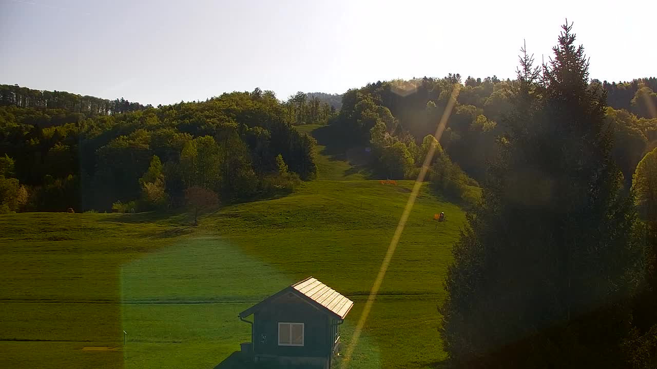 Webcam Loqua / Lokve – La bellezza della selva di Tarnova