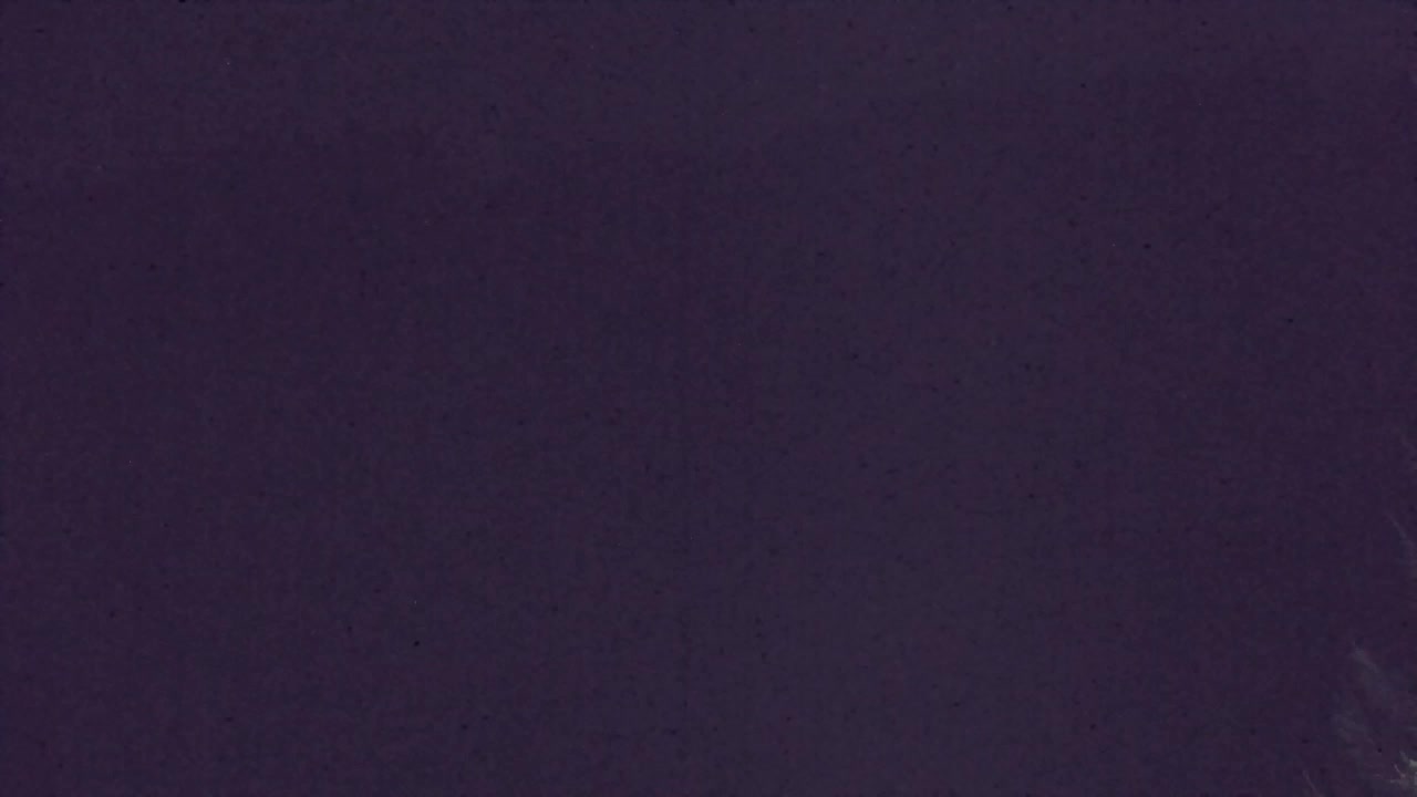 Webcam Lokve – Die Schönheit des Trnovo-Waldes