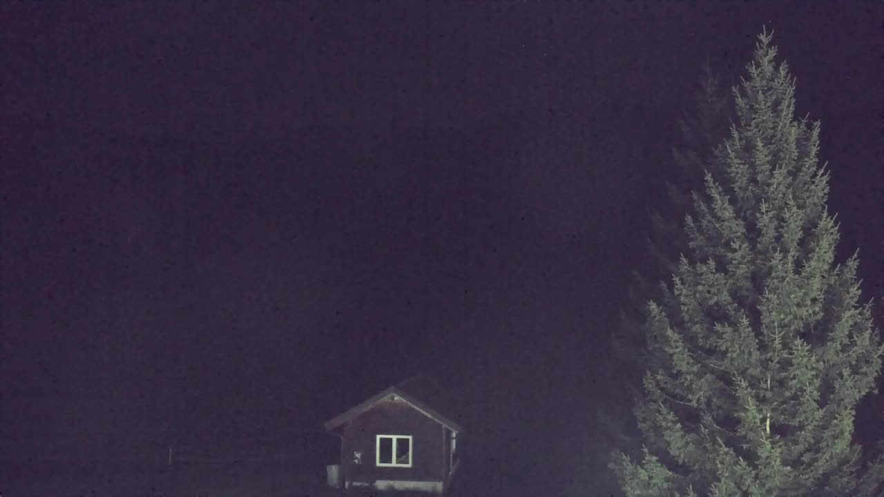 Webcam Lokve – The beauty of the Trnovo forest