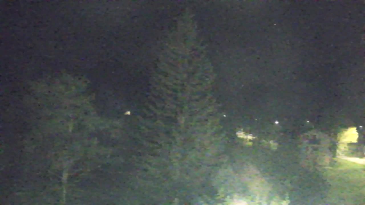 Webcam Loqua / Lokve – La bellezza della selva di Tarnova