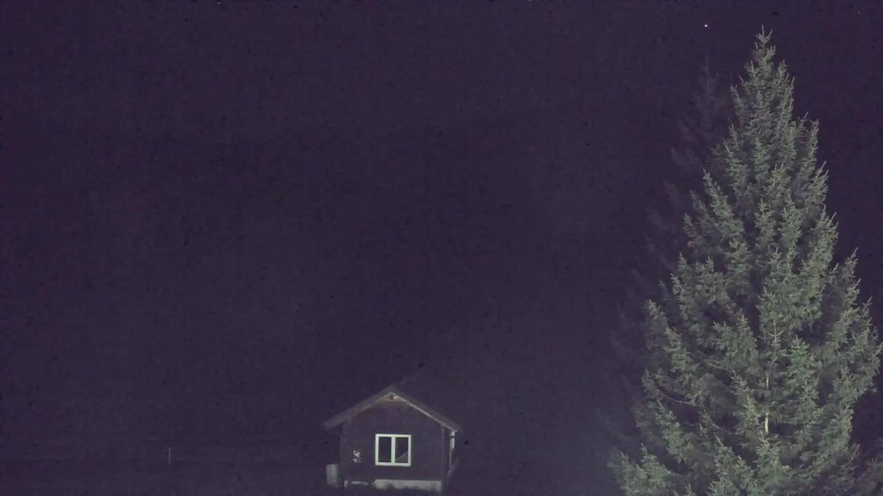 Webcam Lokve – La beauté de la forêt de Trnovo