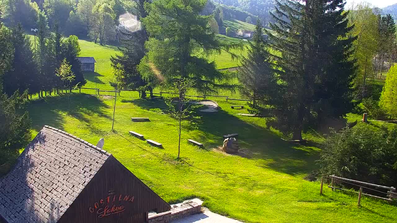 Webcam Loqua / Lokve – La bellezza della selva di Tarnova