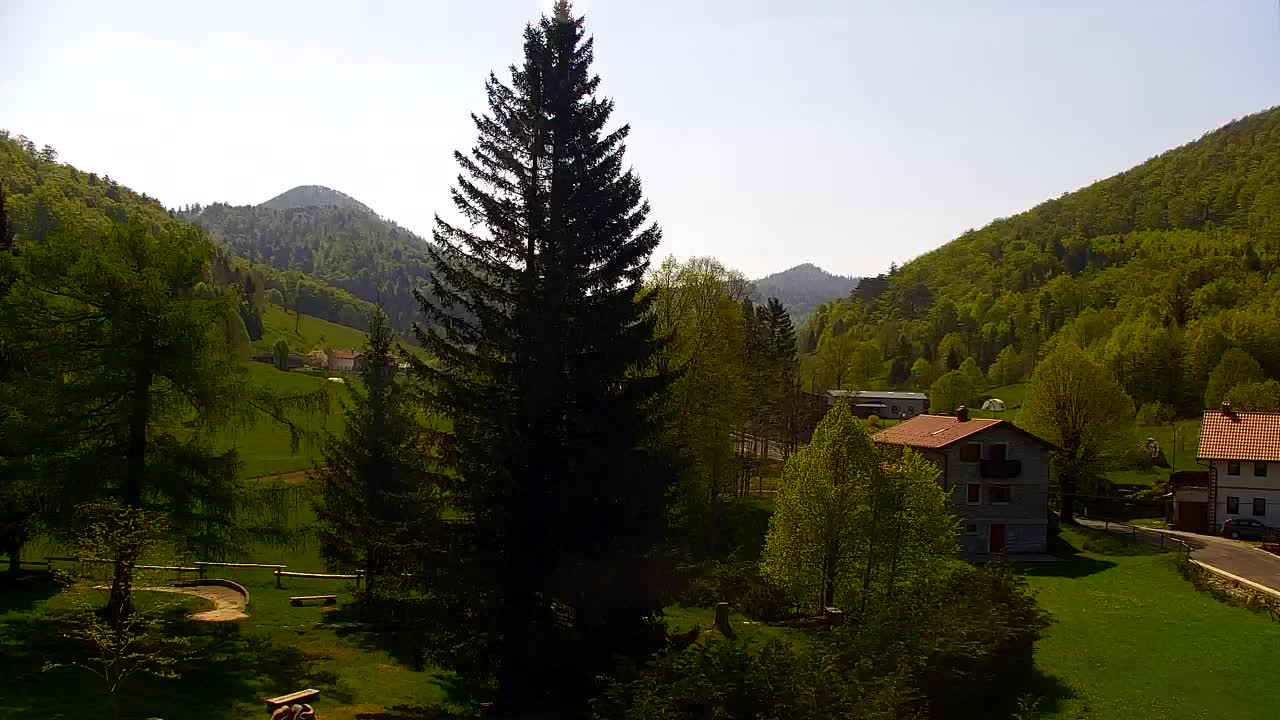 Webcam Loqua / Lokve – La bellezza della selva di Tarnova