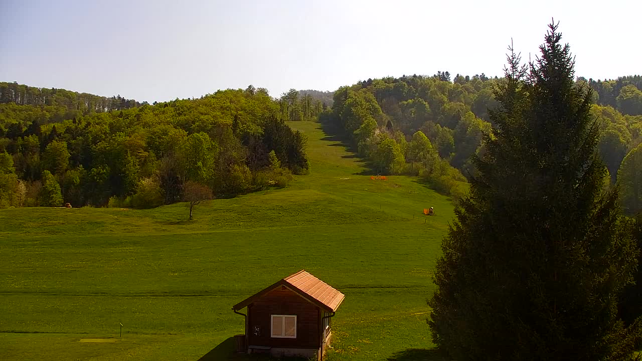 Webcam Lokve – La beauté de la forêt de Trnovo